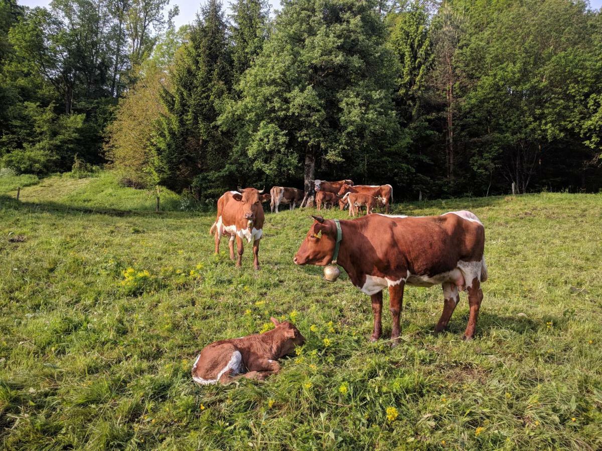 Villa Puzman Farm Glamping Radovljica Exterior foto